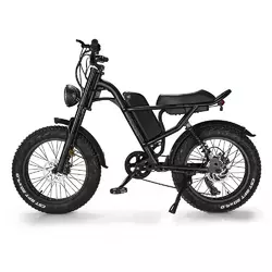 Електровелосипед Fatbike IM-J, (500 Вт, 48 В, 15,6 А/год), колеса 20", чорний